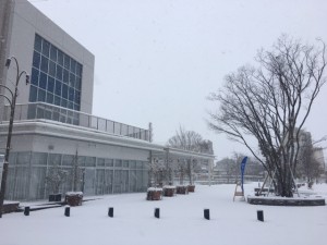 2017-01-15雪景色 (2)